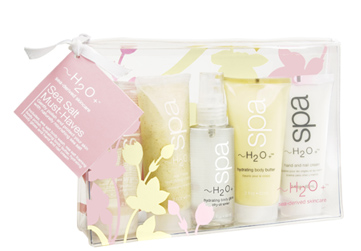h2o plus, h2o +, gift ideas, beauty gifts, bridesmaid, bridesmaids, budget, skin care, spa