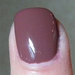 barielle tight knit swatch, style in argyle fall 2010 collection, beauty blog, makeup reviews, makeup swatches, cosmetics blog