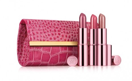 pink ribbon product, bca, pink product, evelyn lauder lip design collection, pink ribbon