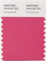 Pantone 2011 Color Of The Year