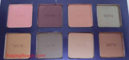 Top Two Rows of Tarte Amazonian Clay Eye Shadow Palette