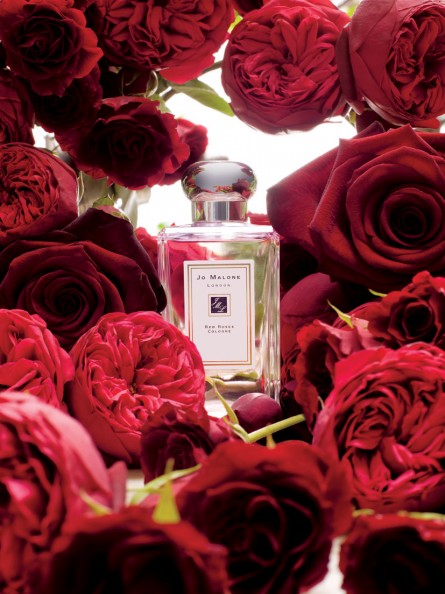 Jo Malone London Red Roses Cologne
