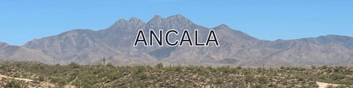 Ancala Country Club Real Estate Agent, Sell My Home in Scottsdale, buy a home in Scottsdale, buy a home in Ancala, best real estate agent in Ancala Scottsdale